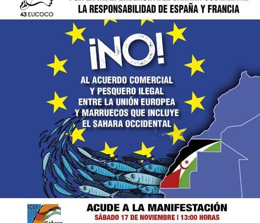 Apoyo a la MANIFESTACIÓN saharaui del SÁBADO 17 DE NOVIEMBRE – Vídeos CEAS-SAHARA Apoyo a la MANIFESTACIÓN saharaui del SÁBADO 17 DE NOVIEMBRE – Vídeos CEAS-SAHARA