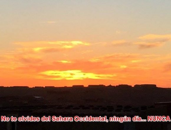 Más noticias saharauis del 15 de abril de 2019 🇪🇭🇪🇭 Más noticias saharauis del 15 de abril de 2019 🇪🇭🇪🇭