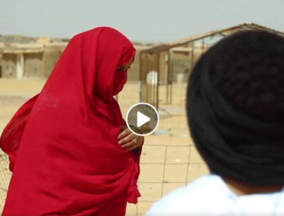 Segundo episodio de la serie saharaui de sensibilización de #Suleiman sobre la gravedad de la epidemia del coronavirus Segundo episodio de la serie saharaui de sensibilización de #Suleiman sobre la gravedad de la epidemia del coronavirus