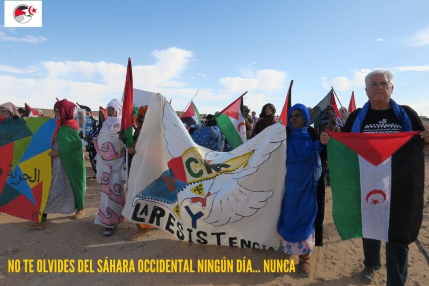 ¡La ACTUALIDAD SAHARAUI! ÚLTIMAS NOTICIAS del Sahara Occidental – 25/11/2022