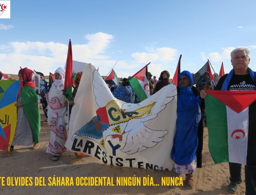 ¡La ACTUALIDAD SAHARAUI! ÚLTIMAS NOTICIAS del Sahara Occidental – 25/11/2022