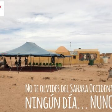¡LA ACTUALIDAD SAHARAUI! Noticias del SAHARA OCCIDENTAL – 29/11/2022