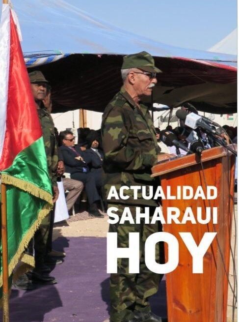 ¡La ACTUALIDAD SAHARAUI! | Últimas NOTICIAS del Sahara Occidental – 4/11/2022