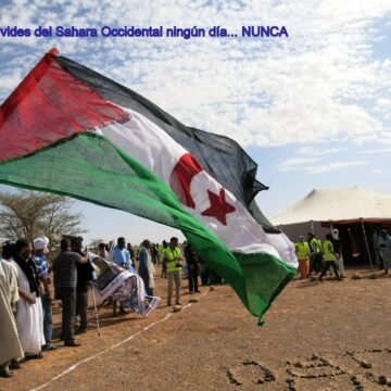 ¡LA ACTUALIDAD SAHARAUI! Noticias del SAHARA OCCIDENTAL – 22/11/2022