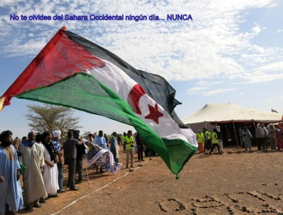 ¡LA ACTUALIDAD SAHARAUI! Noticias del SAHARA OCCIDENTAL – 22/11/2022