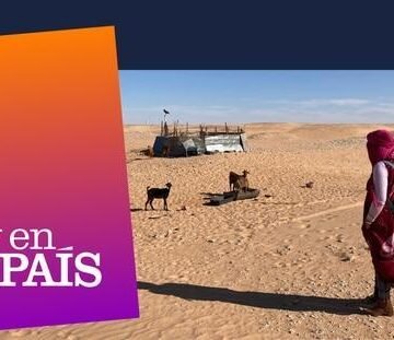 Crisis alimentaria en los campamentos saharauis: “Nunca había visto un deterioro de la situación como el actual” | Planeta Futuro | EL PAÍS