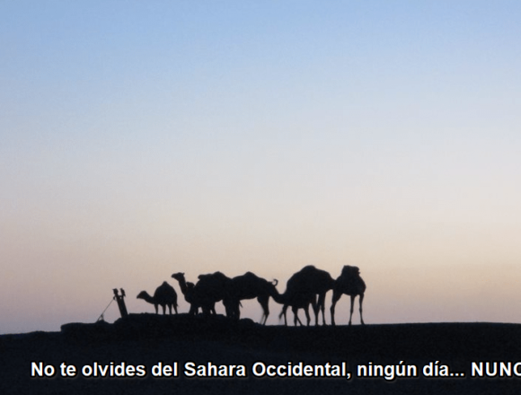 ¡La ACTUALIDAD SAHARAUI! ÚLTIMAS NOTICIAS del Sahara Occidental – 20/11/2022