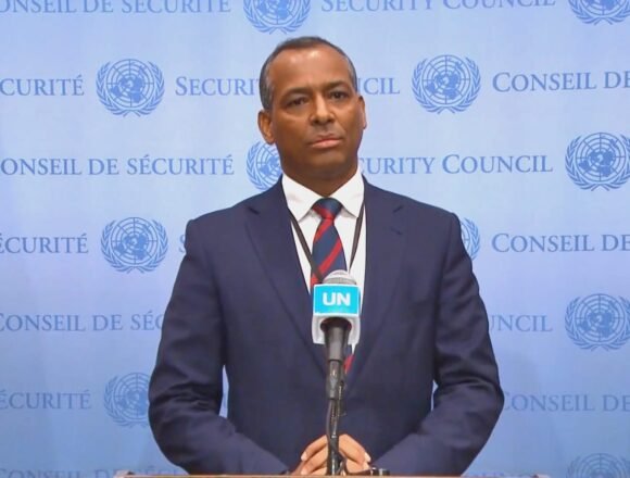 img-20221101-wa0034_1 Representante del Frente POLISARIO en la ONU afirma que la única vía pacífica de resolver el conflicto es el Plan de Paz aceptado por las partes | Sahara Press Service
