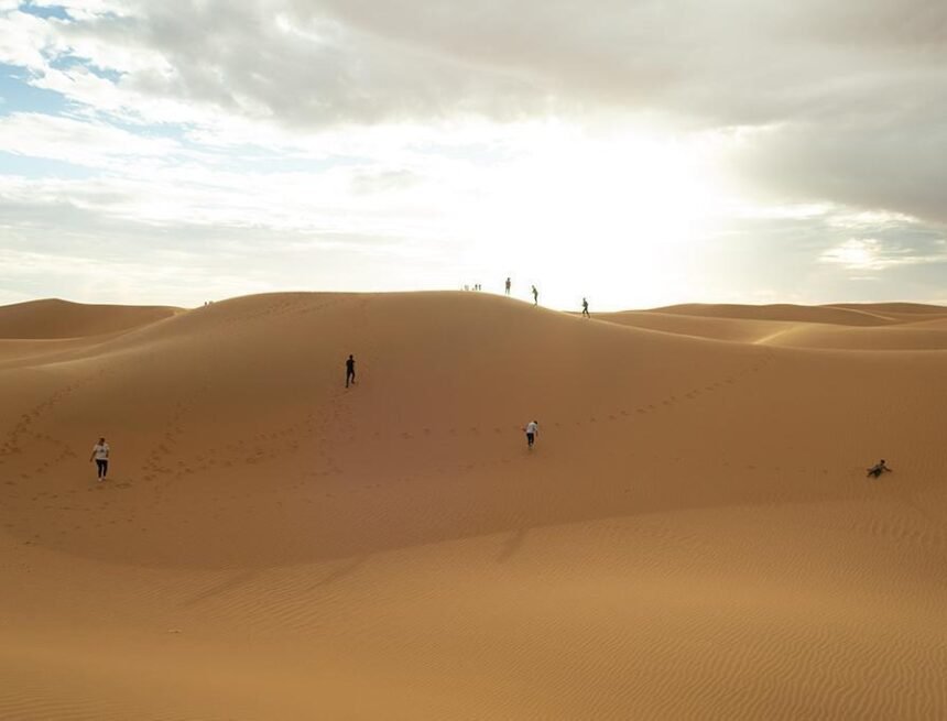 Diario de viaje a los Campamentos saharauis. Día 4. –  Periodistas Escolares / Por SAHARAESCUELA