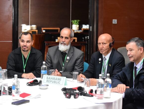 9565bea7-a20e-4896-b29b-0b1e9bfea9eb La República Saharaui participa en los talleres de evaluación del Decenio de Implementación de la Agenda 2063 de la UA | Sahara Press Service