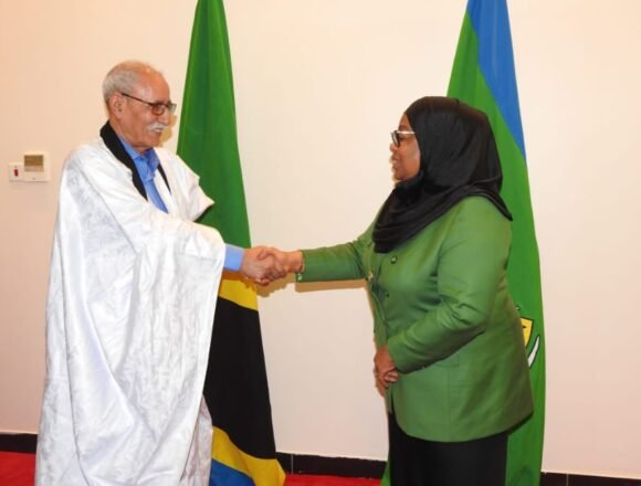 b7fb8177-65a1-4daa-9b97-2be2484b3b34 Efectúa Ghali una reunión bilateral con su homóloga de Tanzania | Sahara Press Service