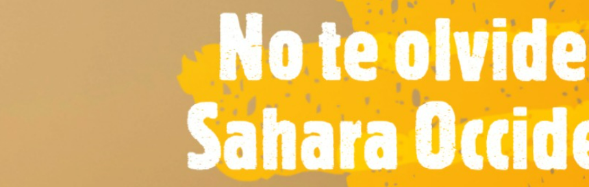 dfrtyhjmk. ¡La ACTUALIDAD SAHARAUI! – 24/12/2022 – ÚLTIMAS NOTICIAS del Sahara Occidental