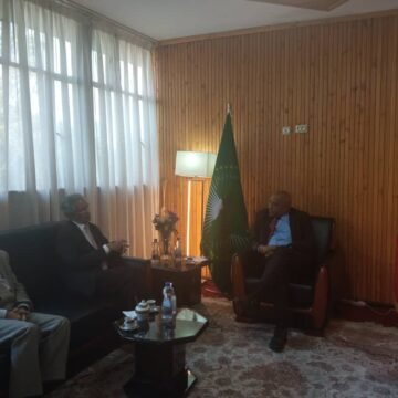 El Ministro de Exteriores saharaui conversa con el Ministro de Estado a cargo de Diplomacia Política y Económica de Etiopía | Sahara Press Service