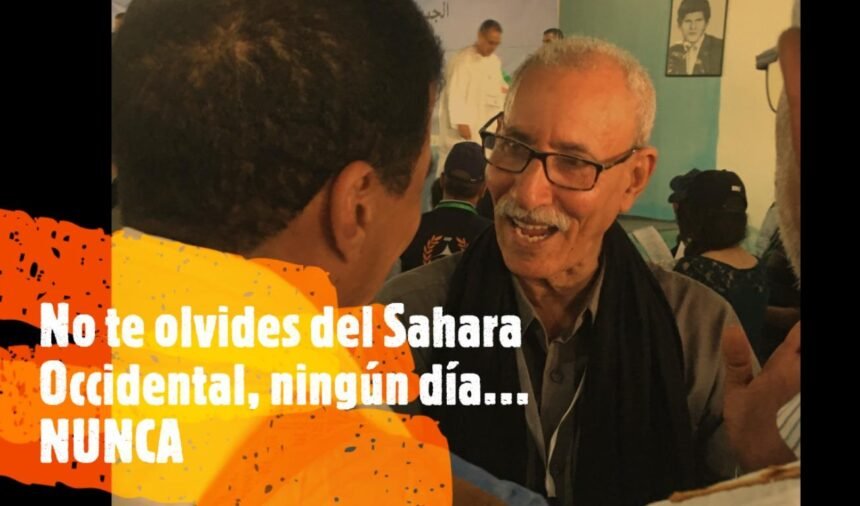 ¡LA ACTUALIDAD SAHARAUI! – 16/1/2023 – NOTICIAS del Sahara Occidental