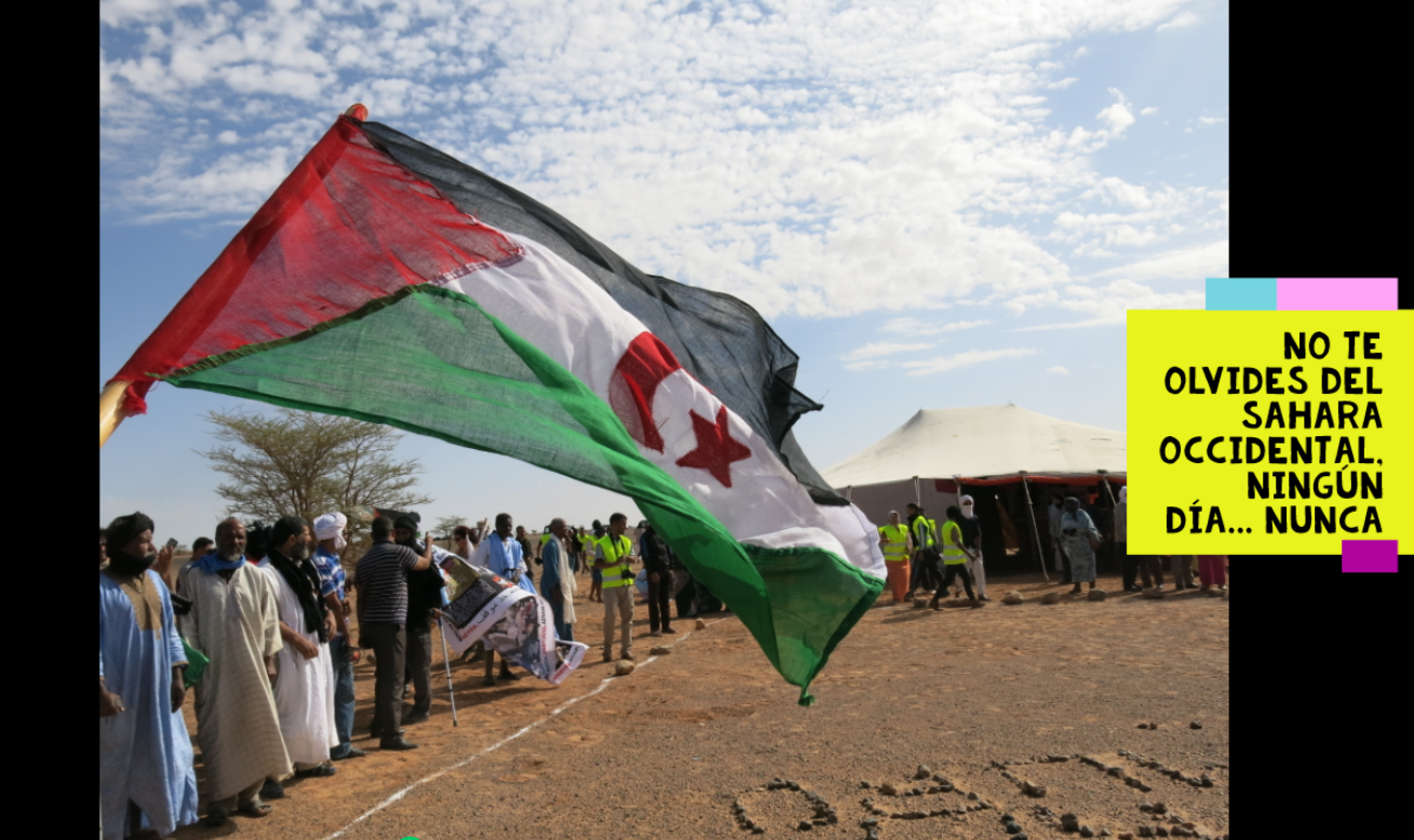 noteolvidesdelsaharaoccidental.org