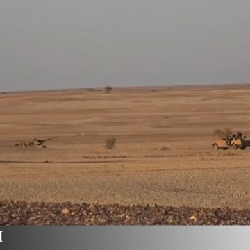 GUERRA EN EL SAHARA | Unidades de comando del Ejército saharaui alcanzan una sede del mando militar marroquí en el norte del Sáhara Occidental tras destruir otra la semana pasada
