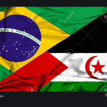 zsed-2 ¡LA ACTUALIDAD SAHARAUI! – 9/1/2023 – ÚLTIMAS NOTICIAS del Sahara Occidental