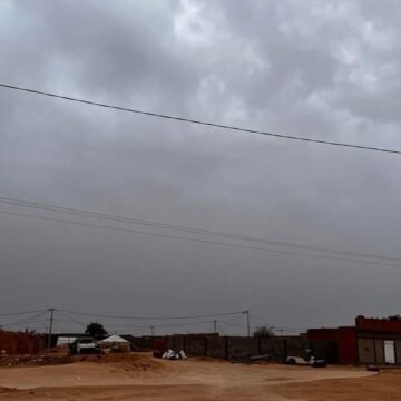 Previsión de tormentas de arena y fuertes lluvias en los campamentos de refugio saharaui. Creación de un comité de emergencia para dar seguimiento a la situación y tomar las medidas pertinentes debido a las lluvias.