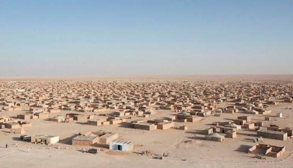 1676715987266106-0 La Media Luna Roja saharaui lanza un llamamiento urgente a países donantes ante las delicada situación de los refugiados saharauis