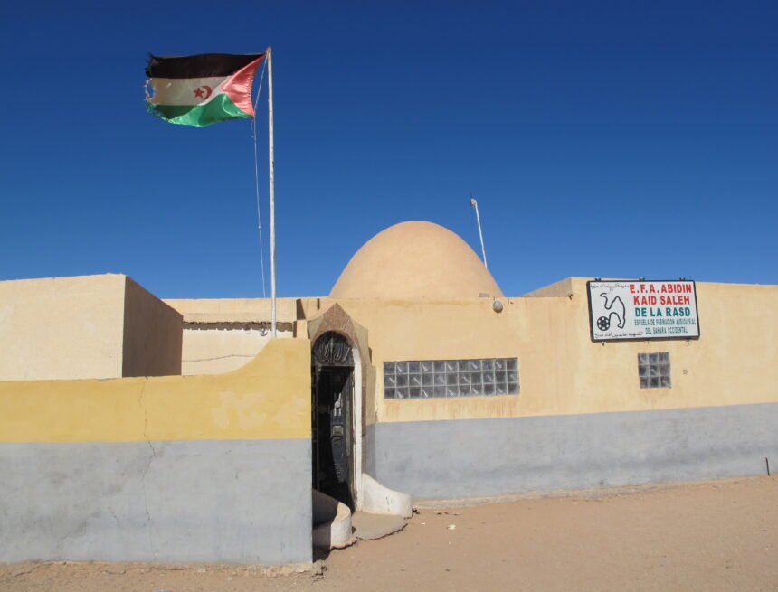 2012-12-53 La Asociación granadina HelpMePlease sostiene la escuela de cine saharaui, única escuela de cine situada en un campamento de refugio