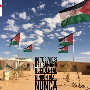 ¡LA ACTUALIDAD SAHARAUI! – 11/2/2023 – ÚLTIMAS NOTICIAS del Sahara Occidental