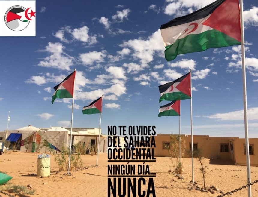 48426930_10216248788045544_7317243728161144832_n ¡LA ACTUALIDAD SAHARAUI! – 11/2/2023 – ÚLTIMAS NOTICIAS del Sahara Occidental