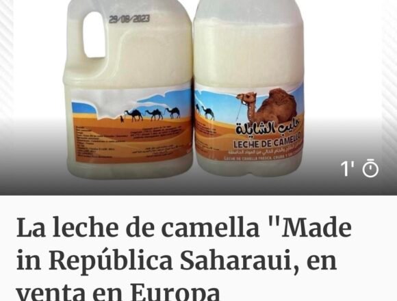 La leche de camella «Made in República Saharaui» a la venta en Europa