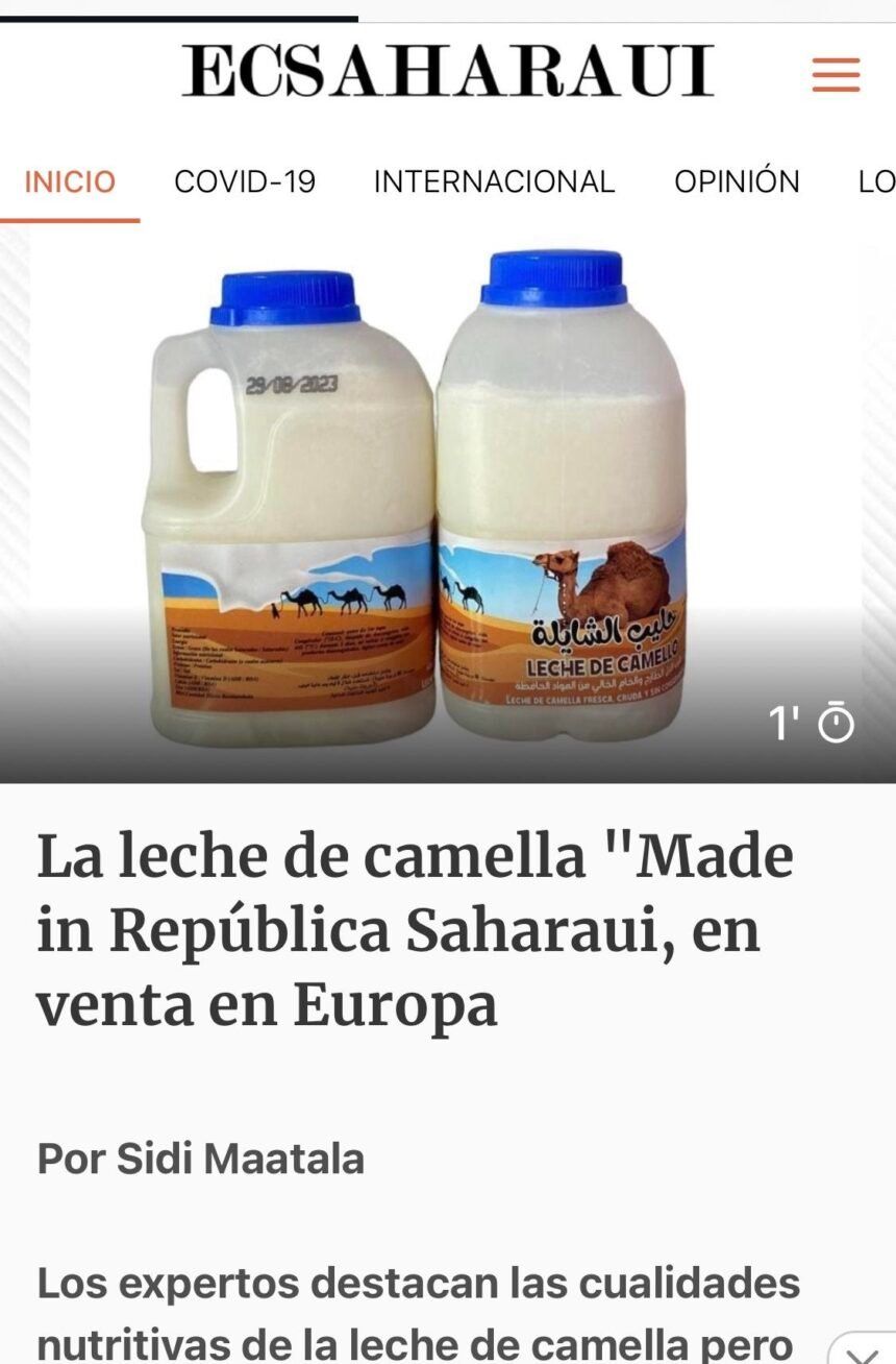 La leche de camella «Made in República Saharaui» a la venta en Europa