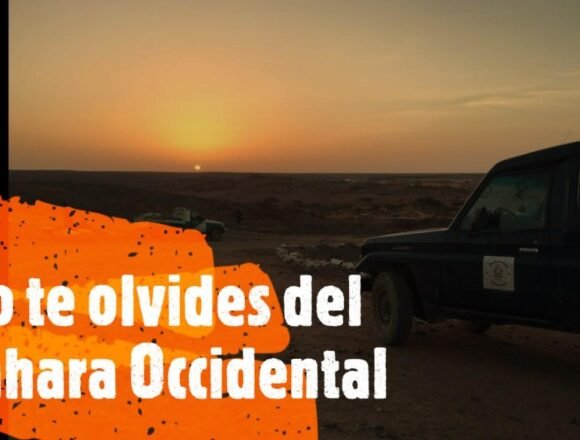¡LA ACTUALIDAD SAHARAUI! – 11/3/2023 – ÚLTIMAS NOTICIAS del Sahara Occidental