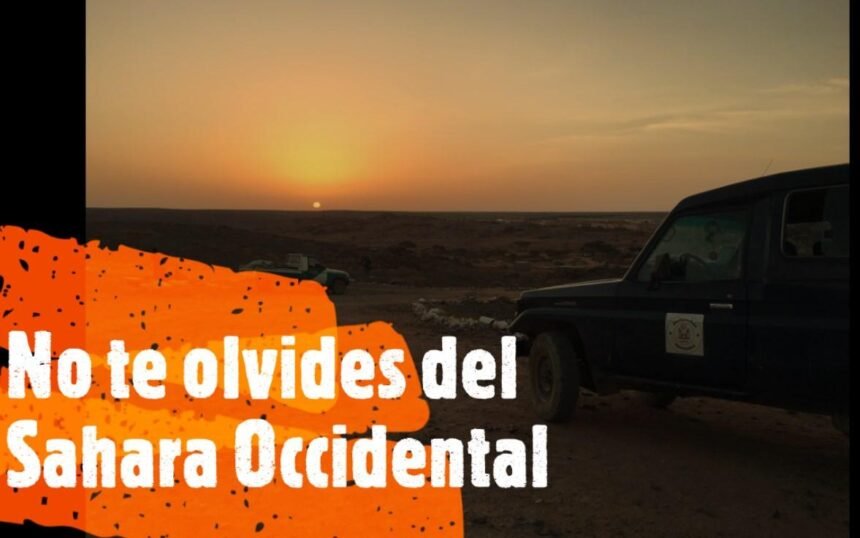 ¡LA ACTUALIDAD SAHARAUI! – 11/3/2023 – ÚLTIMAS NOTICIAS del Sahara Occidental