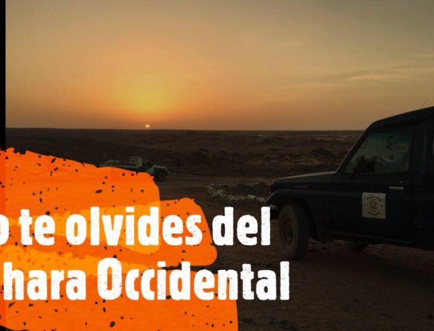 ¡LA ACTUALIDAD SAHARAUI! – 11/3/2023 – ÚLTIMAS NOTICIAS del Sahara Occidental