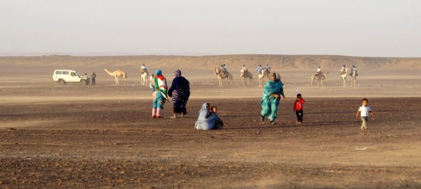 ¡LA ACTUALIDAD SAHARAUI! – 9/3/2023 – ÚLTIMAS NOTICIAS del Sahara Occidental