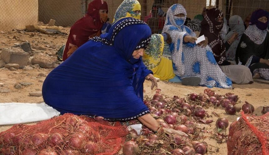 Amnistía Internacional denuncia que Marruecos endureció la represión contra los saharauis – Noticias de Álava