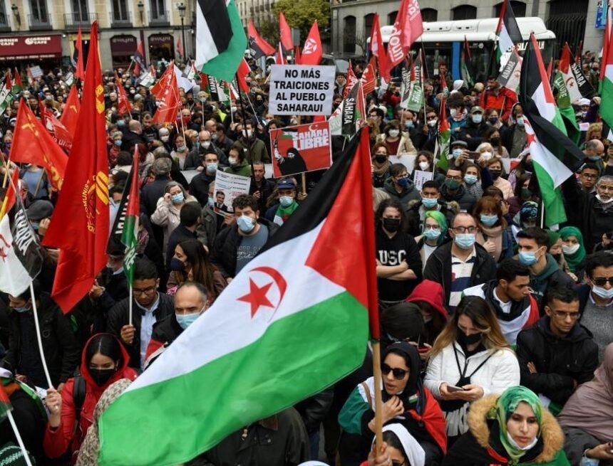 Así piensan los saharauis militantes del PSOE Aman y Omar sobre el giro del Gobierno | Público