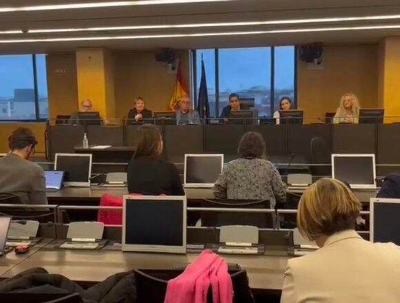 El Intergrupo de Apoyo al Pueblo Saharaui y la Comisión de Enlace se reunieron para coordinar acciones contra la postura ilegal de Pedro Sánchez en el Sáhara Occidental | Sahara Press Service