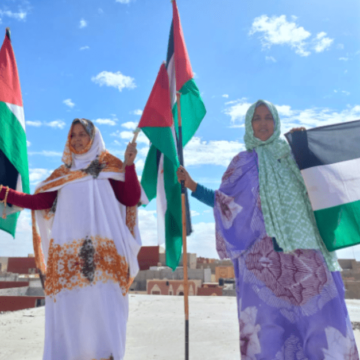 COMUNICADO DE PRENSA «El grupo de trabajo de las Naciones Unidas sobre la detención arbitraria falla a favor de Sultana y Luara khaya contra Marruecos» | Sahara Press Service