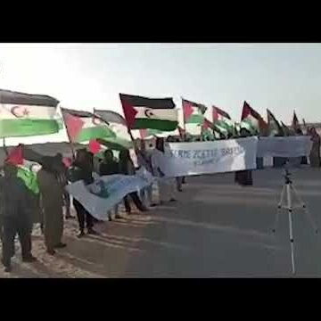 ACAPS: “El pueblo saharaui exige a la ONU el cumplimiento de DD.HH. en el Sahara Occidental