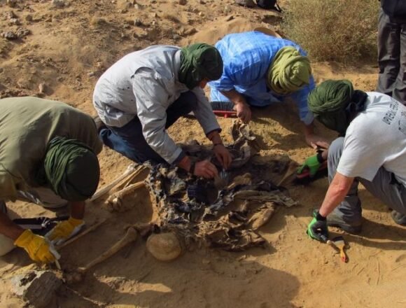 ¡ÚLTIMAS noticias – Sahara Occidental! 25 de mayo de 2021