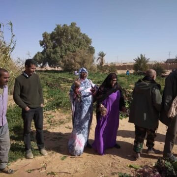 Minister of Economic Development observes agricultural harvest in Wilaya of Smara | Sahara Press Service