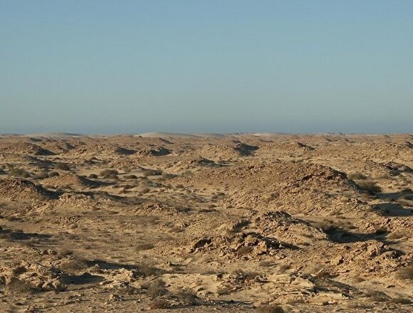 1037695253 Bouteflika précise la position de l’Algérie dans le conflit au Sahara occidental – Sputnik France