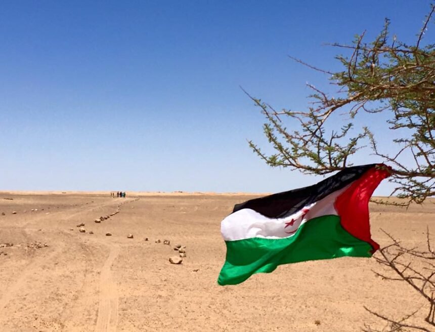 ¡SAHARA OCCIDENTAL! BOLETÍN de últimas noticias del 6 de septiembre de 2022