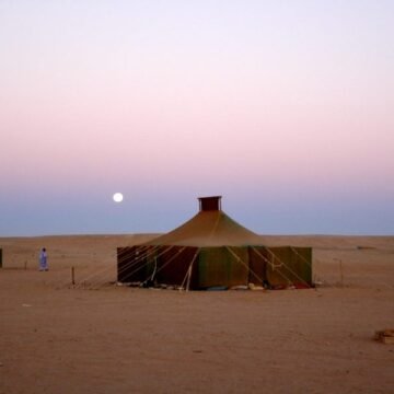 11539598_10206192319640119_4783354801226729955_n ¡LA ACTUALIDAD SAHARAUI! Las noticias del 8 de junio de 2022