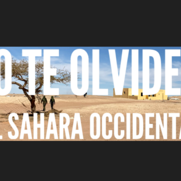 SAHARA OCCIDENTAL – 18/10/2023 – LAS ÚLTIMAS NOTICIAS DE LA ACTUALIDAD SAHARAUI