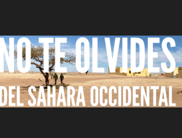 SAHARA OCCIDENTAL – 18/10/2023 – LAS ÚLTIMAS NOTICIAS DE LA ACTUALIDAD SAHARAUI