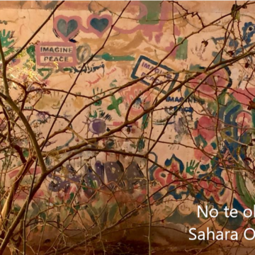 1234rtfghnjk ¡SAHARA OCCIDENTAL! BOLETÍN de últimas noticias del 12 de marzo de 2022