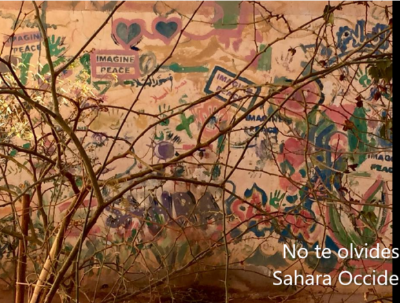 ¡SAHARA OCCIDENTAL! BOLETÍN de últimas noticias del 12 de marzo de 2022