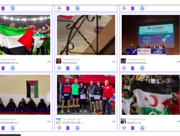 ¡ÚLTIMAS noticias – Sahara Occidental! 12 de diciembre de 2021 ?? ?? ??