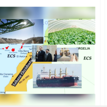 Investigación: Lista de empresas que saquean el Sáhara Occidental