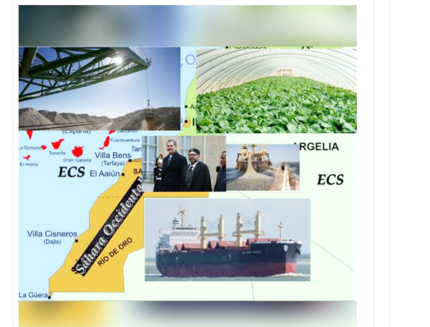 123erfgbhnj Investigación: Lista de empresas que saquean el Sáhara Occidental