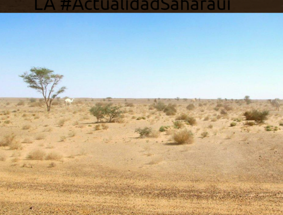 ¡SAHARA OCCIDENTAL! BOLETÍN de últimas noticias del 19 de abril de 2022
